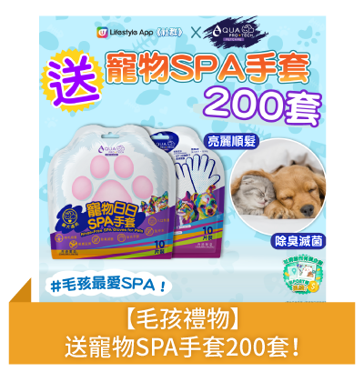 【毛孩禮物】送寵物SPA手套200套！