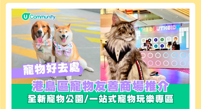 寵物好去處｜港島區寵物友善商場推介 全新寵物公園/一站式寵物玩樂專區
