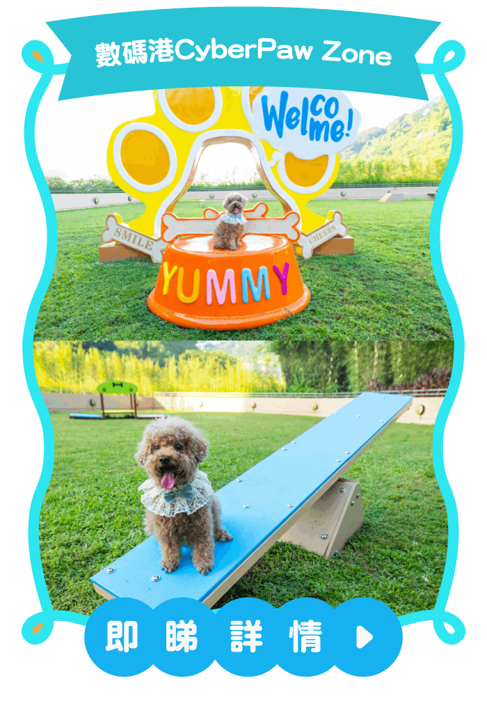 數碼港CyberPaw Zone