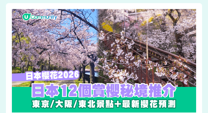 【日本櫻花2026】日本12個賞櫻秘境推介🌸東京/大阪/京都賞櫻景點+最新櫻花預測
