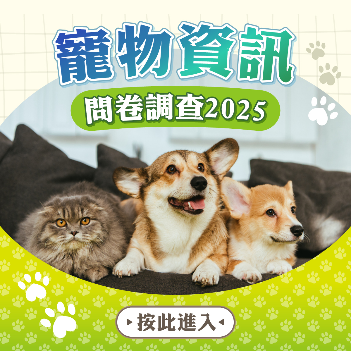 寵物資訊問卷調查2025